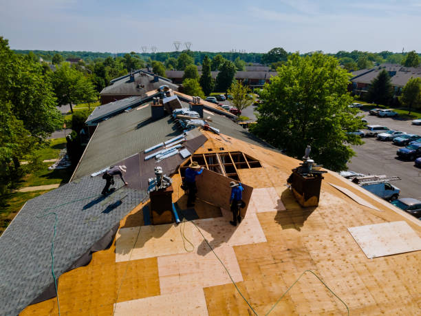Best Storm Damage Roof Repair  in Lowry Crossing, TX